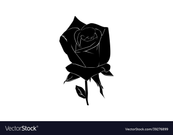 rose silhouette rose silhouette