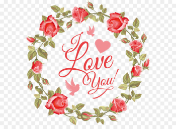 Rose Stock photography Flower - Flower Box Rose Stock photography Flower - Flower Box