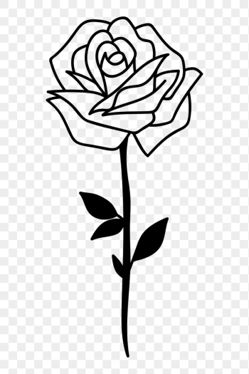 Rose tattoo png Valentine's line | Free PNG - rawpixel