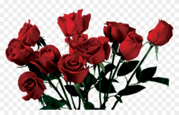 Rose Tumblr Aesthetic 90's Night Alone Sad Pinterest - Aesthetic Roses Png Rose Tumblr Aesthetic 90's Night Alone Sad Pinterest - Aesthetic Roses Png