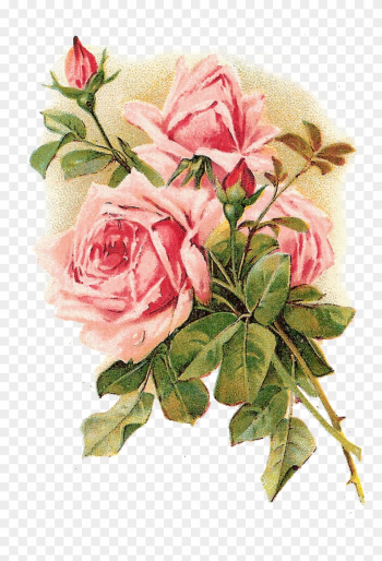 Rose Vintage Clothing Flower Pink Shabby Chic - Vintage Roses Rose Vintage Clothing Flower Pink Shabby Chic - Vintage Roses