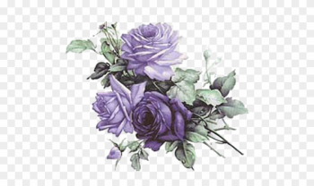 Rose - Vintage Purple Rose Clip Art Rose - Vintage Purple Rose Clip Art