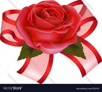 Rose with gift vector image Rose with gift vector image