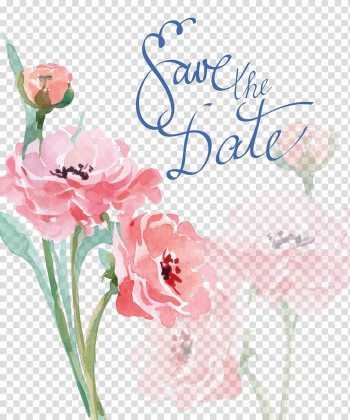 Rose with save the date text overlay, Watercolor painting Wedding invitation Drawing, Watercolor pink flower transparent background PNG clipart