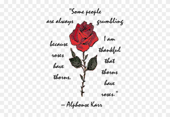 Rose With Text - Rose Clip Art Rose With Text - Rose Clip Art