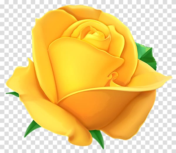 Rose , yellow backgrounds transparent background PNG clipart Rose , yellow backgrounds transparent background PNG clipart