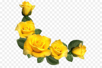 Rose Yellow Clip art - Beautiful Yellow Roses Decor PNG Clipart Image 