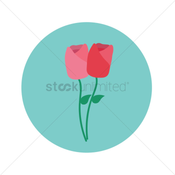 Roses Roses
