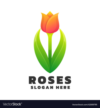 roses roses