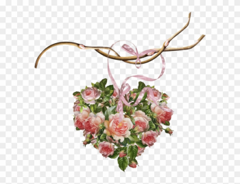 Roses Hearts - Garden Roses Roses Hearts - Garden Roses