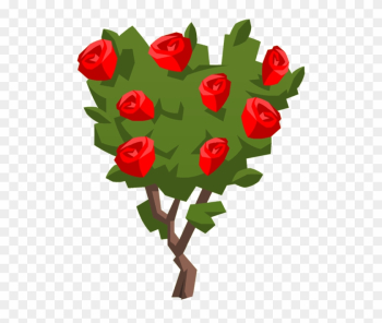 Roses - Rose Roses - Rose