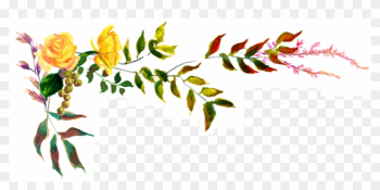 Roses - Rose Roses - Rose