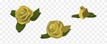 Roses, Yellow, Flowers, Buds, Blooms - Garden Roses Roses, Yellow, Flowers, Buds, Blooms - Garden Roses