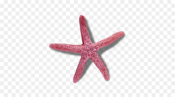 Rotational symmetry Worksheet Reflection symmetry - Purple starfish 