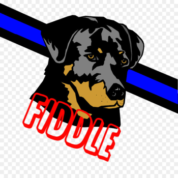 Rottweiler Puppy Labrador Retriever Cat Pet - puppy Rottweiler Puppy Labrador Retriever Cat Pet - puppy