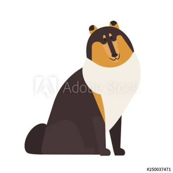 Rough Collie