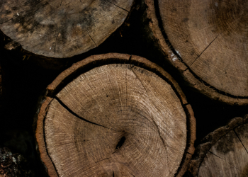 Round Brown Wooden Slab Round Brown Wooden Slab