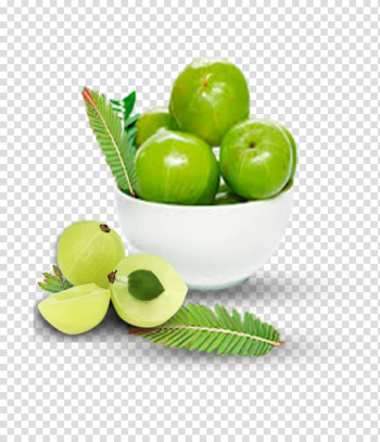 Round green fruits, Dietary supplement Ayurveda Herb Amalaki Food, Amla transparent background PNG clipart
