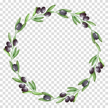 Round green leaves with black fruit , Watercolor painting Olive wreath Olive branch, olive transparent background PNG clipart