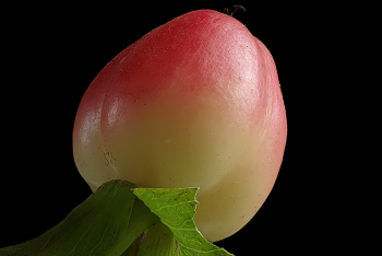 Round Red and Yellow Fruit Round Red and Yellow Fruit