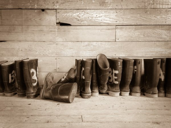 Row Of Rubber Boots