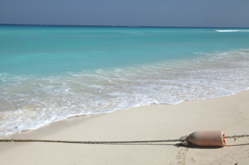 Royal holiday,Playa