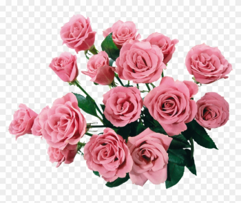 Royalty Free Clipart Image Of A Bouquet Of Pink Roses - Pink Roses Clip Art