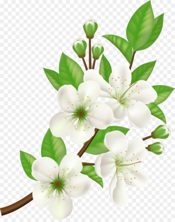 Royalty-free Computer Icons Flower - Vector hand painted white flowers 