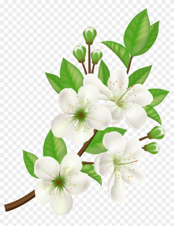 Royalty-free Computer Icons Flower - White Flower Vector Png