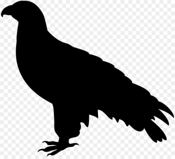 Royalty-free Silhouette Falcon - Silhouette Royalty-free Silhouette Falcon - Silhouette