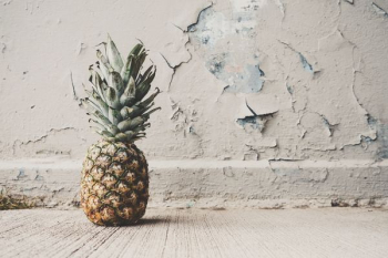 rule of thirds orange of pineapple rule of thirds orange of pineapple