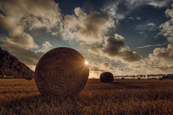 Rule of Thirds Photography of Round Brown Hay Rule of Thirds Photography of Round Brown Hay