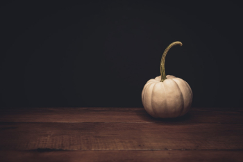 Rule of Thirds Photography of White Squash Rule of Thirds Photography of White Squash