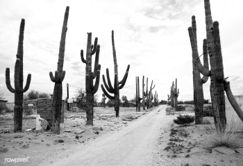 Rural Arizona near Florence, Arizona. Origina.. | Free public domain photo - 421710