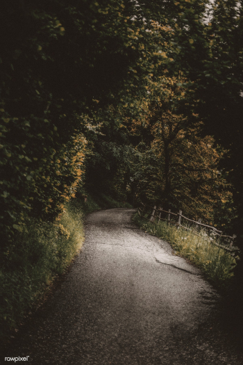 Rural road under the light | Free public domain photo - 463088 Rural road under the light | Free public domain photo - 463088