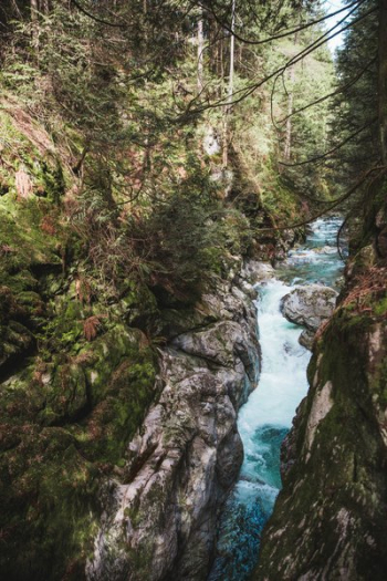 Rushing Stream Rushing Stream