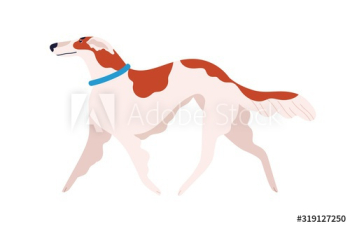 Russian canine greyhound dog breed vector flat illustration