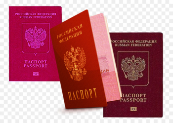 Russian passport United States passport - The Russian passport 