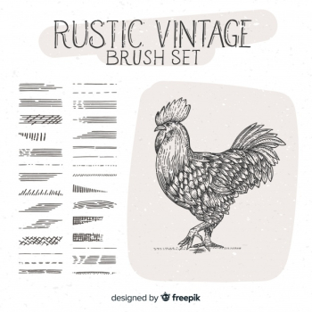 Rustic vintage brush set Rustic vintage brush set