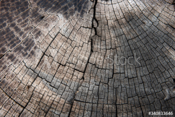 Rustic wooden pattern Rustic wooden pattern