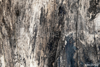 Rustic wooden pattern Rustic wooden pattern