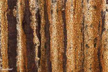 Rusty sheet of metal background | Free stock vector - 525304 Rusty sheet of metal background | Free stock vector - 525304
