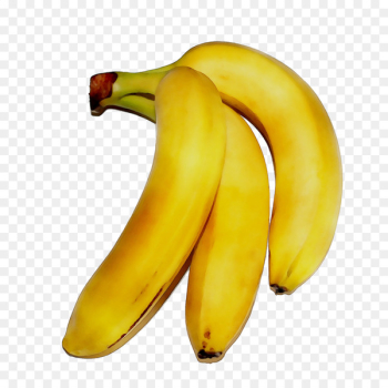 Saba banana Cooking banana - Saba banana Cooking banana -
