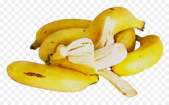 Saba banana Cooking banana Food Golden Banana - Saba banana Cooking banana Food Golden Banana -