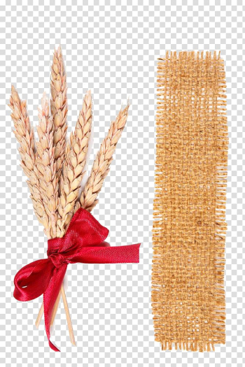 Sacks, cloth and wheat transparent background PNG clipart Sacks, cloth and wheat transparent background PNG clipart
