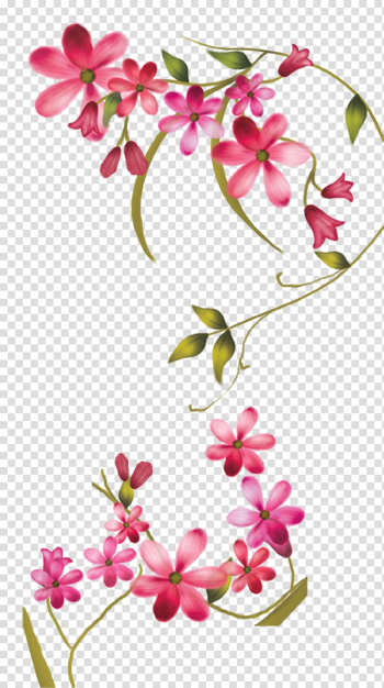 Safflower decoration transparent background PNG clipart