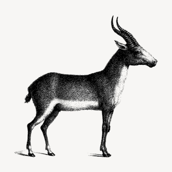 Saiga antelope clipart, vintage animal | Free Vector - rawpixel Saiga antelope clipart, vintage animal | Free Vector - rawpixel