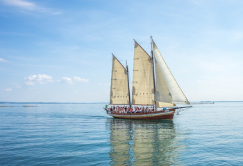 Sail Boat in Water Sail Boat in Water