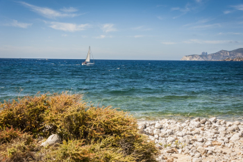 Sailboat On Water Sailboat On Water