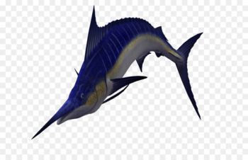 Sailfish Atlantic blue marlin Clip art - swordfish Sailfish Atlantic blue marlin Clip art - swordfish